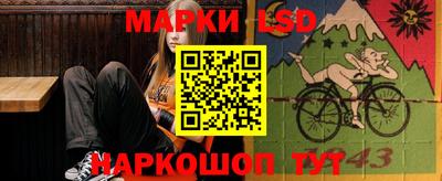 гашик Будённовск