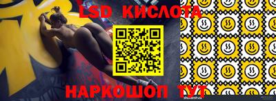 гашик Будённовск