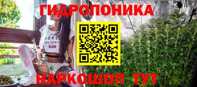 гашик Будённовск