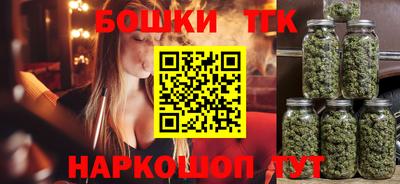 гашик Будённовск