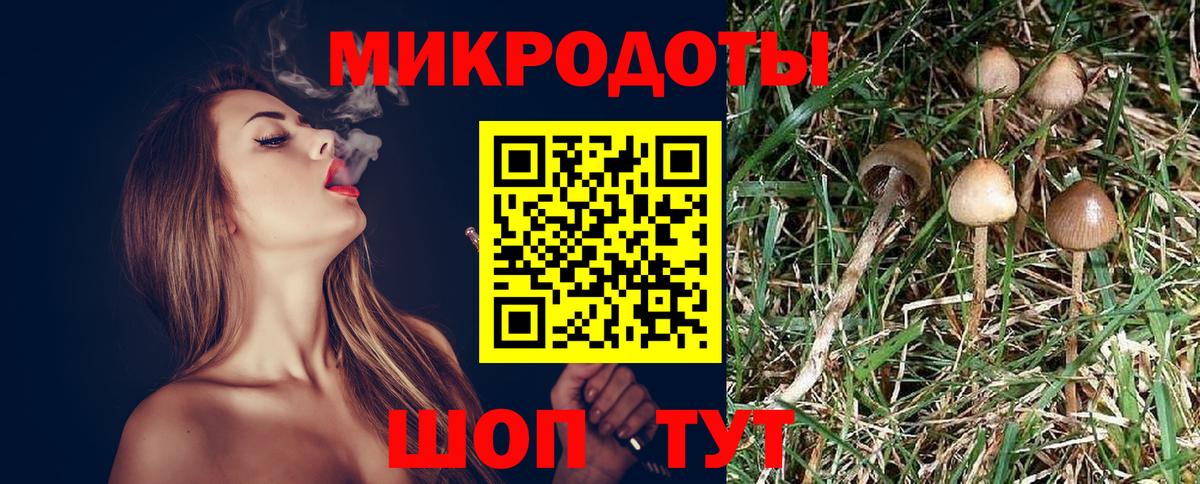 Псилоцибиновые грибы прущие грибы  Вход с VPN  Кунгур 